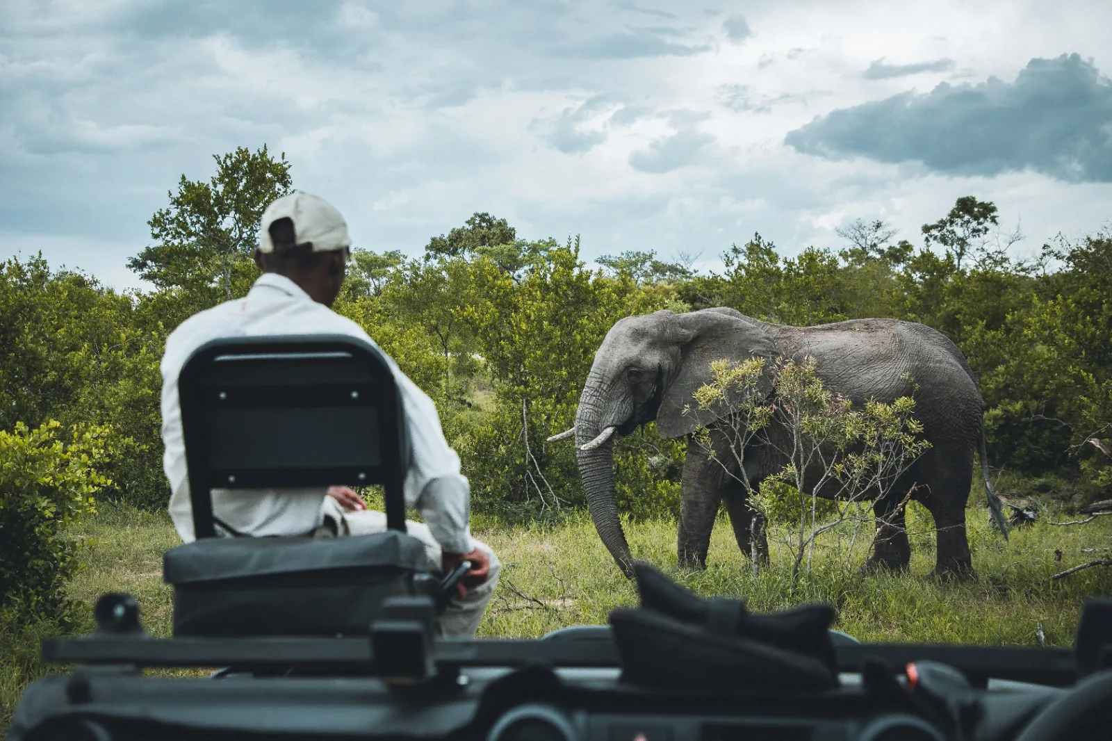 8-Day South Africa Big Five & Cape Town