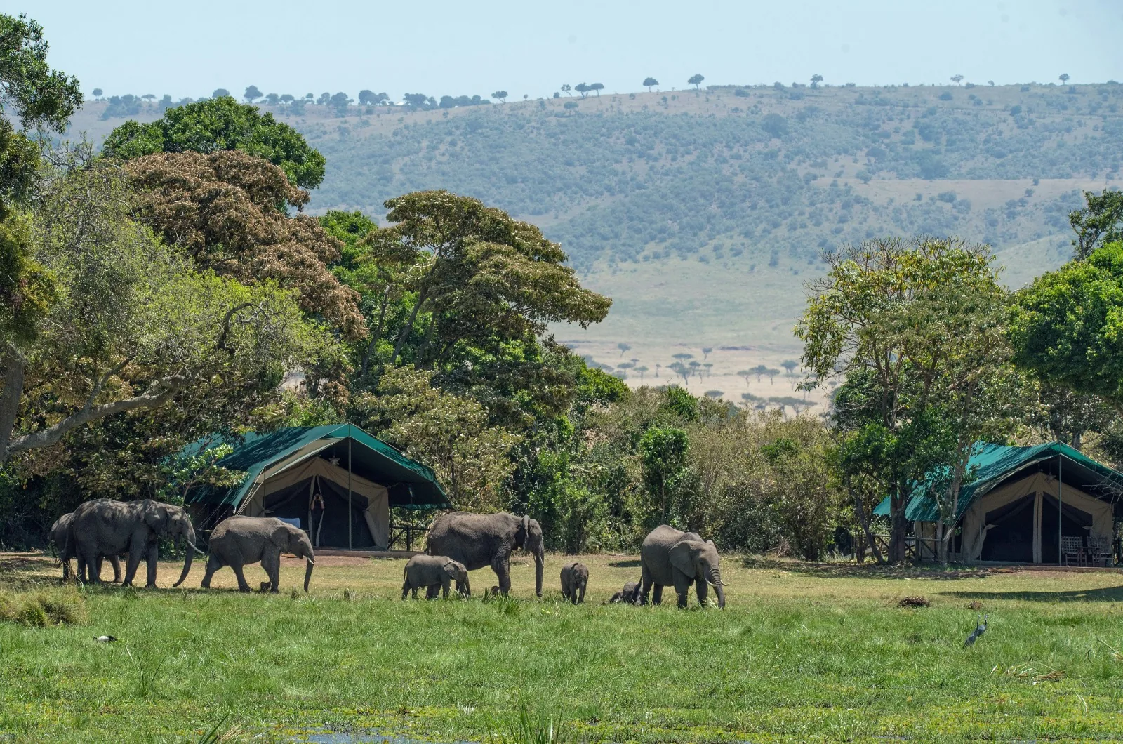6-Day Okavango Delta Luxury Safari