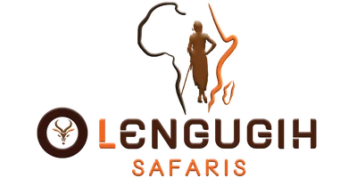 Olengugih Safaris logo