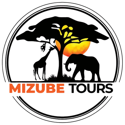 Mizube Tours logo