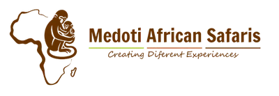 Medoti African Safaris logo