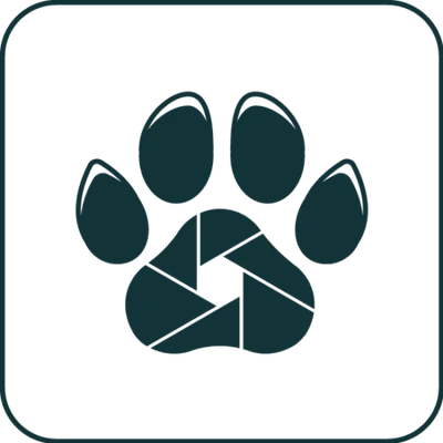 Frame the Wild logo