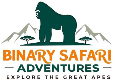 Binary Safari Adventures logo