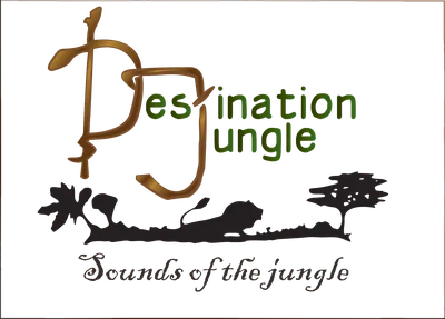 Destination Jungle logo