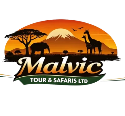 Malvic Tour & Safaris logo