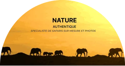 Nature Authentique logo