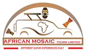 African Mosaic Tours logo
