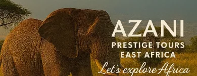 Azani Prestige Tours logo