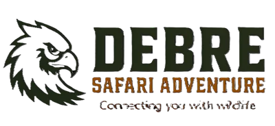 DEBRE Safari Adventure logo