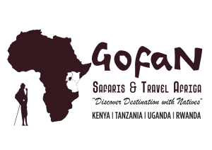 Gofan Safaris logo