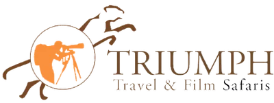 Triumph Safaris logo