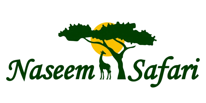 Naseem Safari logo
