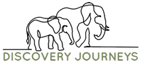 Discovery Journeys logo