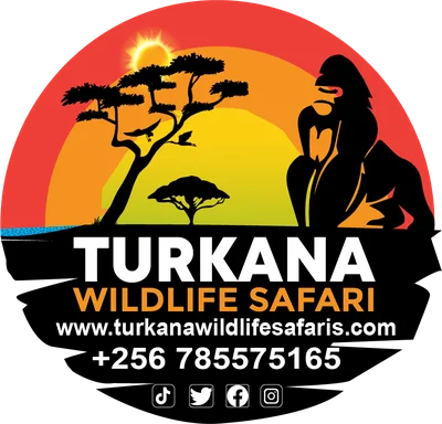 Turkana Wildlife Safaris logo