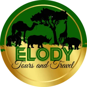 Elody Tours & Travel logo