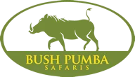 Bush Pumba Safaris logo