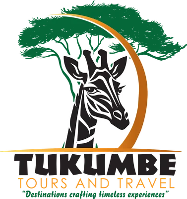 Tukumbe Tours and Travel logo