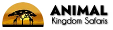 Animal Kingdom Safaris logo