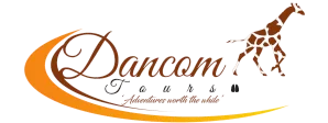 Dancom Tours logo