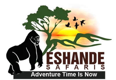 Eshande Safaris logo