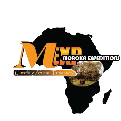 Moroka Expeditions logo
