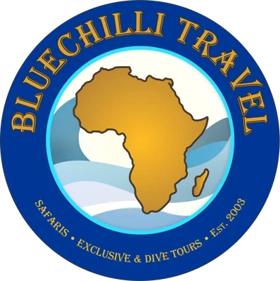 Blue Chilli Travel logo