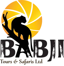 Babji Tours & Safaris logo