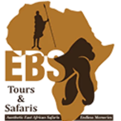 EBS Tours & Safaris logo