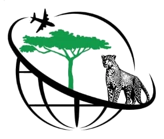 IZ Agency logo