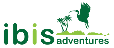 Ibis Adventures logo