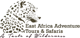 East Africa Adventure Tours and Safaris logo