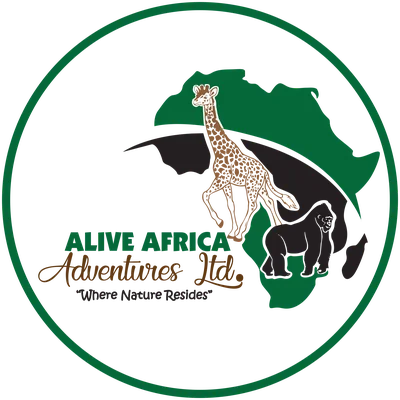 Alive Africa Adventures logo