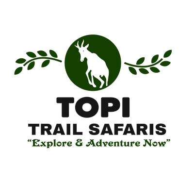 Topi Trail Safaris logo