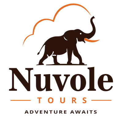 Nuvole Tours & Travels logo