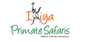 Ikiya Primate Safaris logo