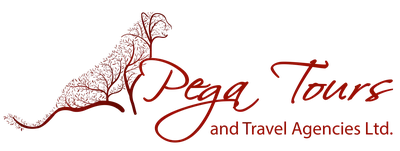 Pega Tours logo