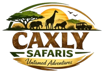Caxly Safaris logo