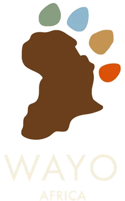 Wayo Africa logo