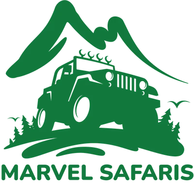Marvel Safaris logo