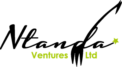 Ntanda Ventures logo
