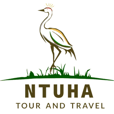 Ntuha Tours & Travel logo